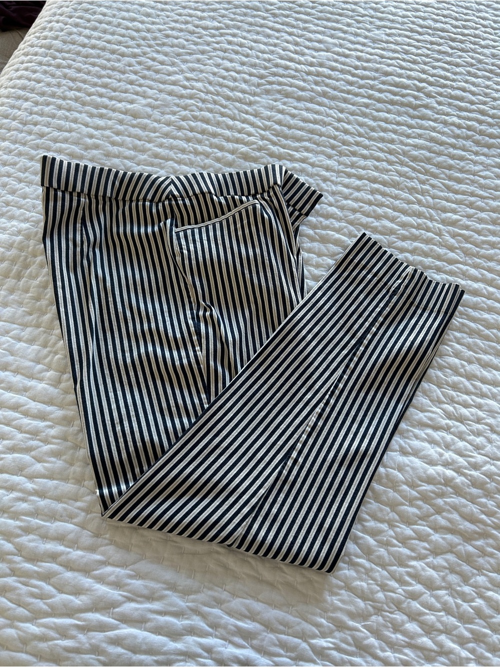 Chico’s Navy and White ankle pants. Size 2.5. Like new